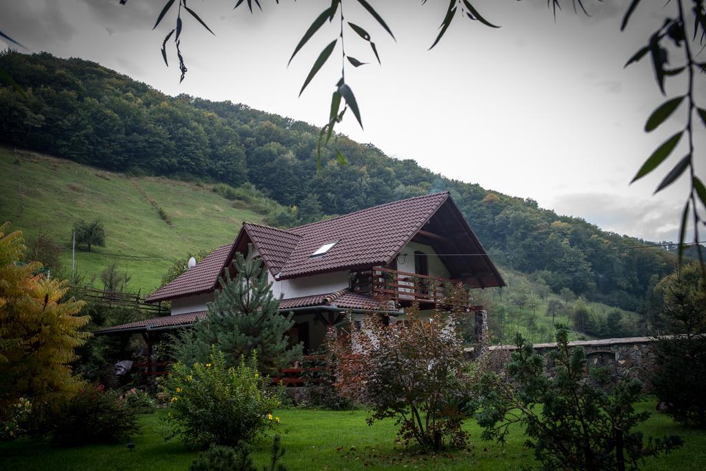 Casa De Piatra Villa Strungari Esterno foto