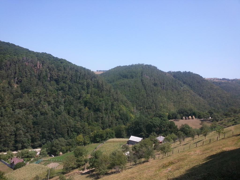 Casa De Piatra Villa Strungari Esterno foto